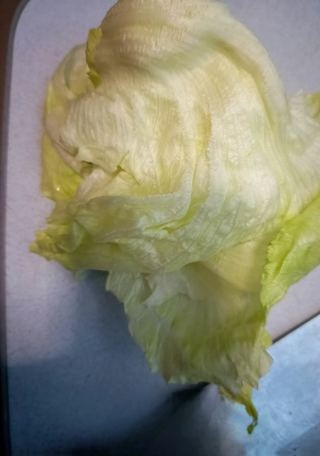 Exclusive Shrimp and Sea Cucumber Salad with Lettuce