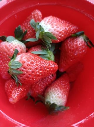 Exclusive Yogurt Strawberry Tart