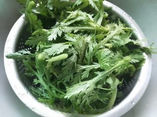 Chrysanthemum greens