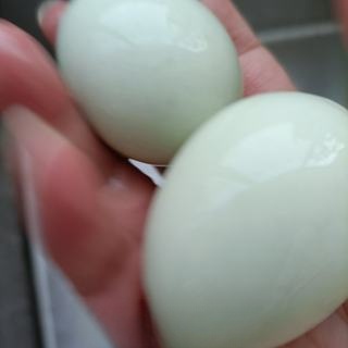 Black-bone chicken eggs mixed with cucumber, exclusive