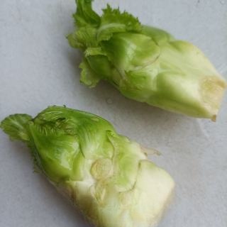 Garlic-flavored dipping water vegetables exclusive