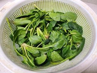 Oyster sauce with spinach