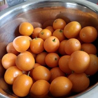 Exclusive Candied Kumquats