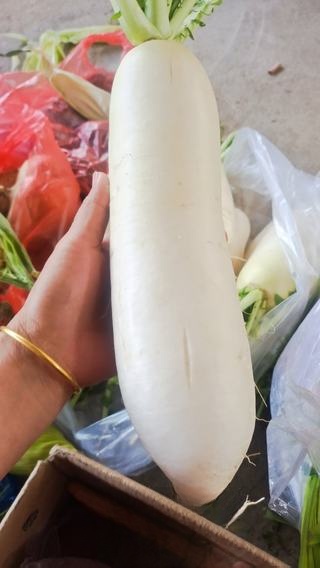 Tangy White Radish