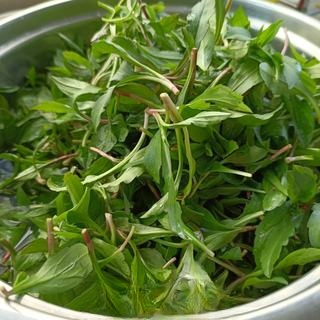 Eggs mixed with Malan leaves, exclusive