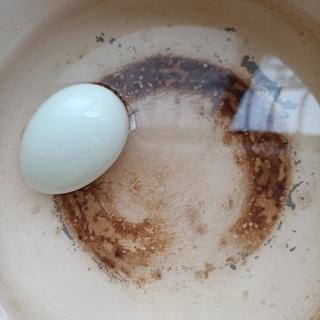 Egg and pigeon meat mixed with cucumber—exclusive