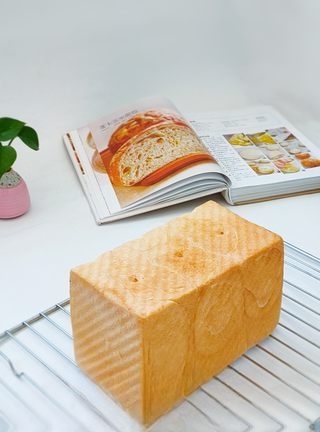 Toast Exclusive