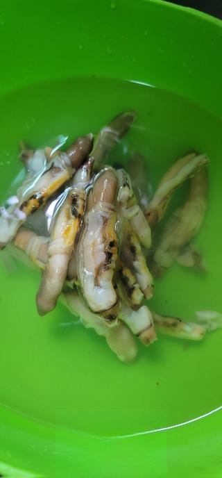 Poached Razor Clam King Meat Exclusive