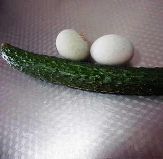 Cucumber Mixed with Pine Pollen Exclusive