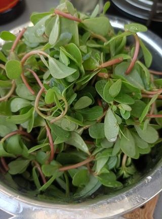 Scrambled Eggs with Purslane Exclusive