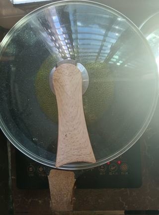 Mung Bean Milk Popsicle