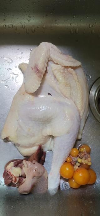 Delicious Hand-Shredded Chicken Exclusive