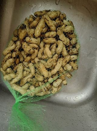 Exclusive Spicy Boiled Peanuts