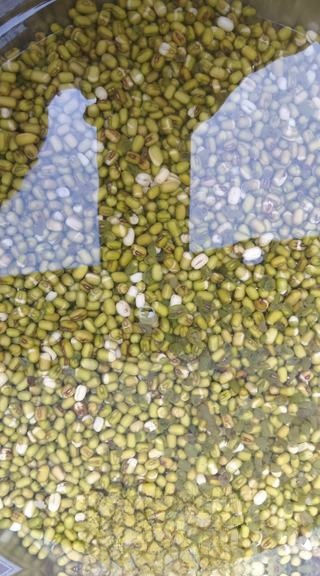 Homemade mung bean cake