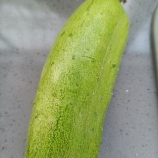 Cucumber Mixed with Chicken Liver Exclusive