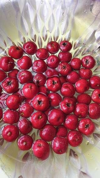 Fried Sugar Balls