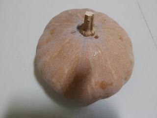 Dried pumpkin
