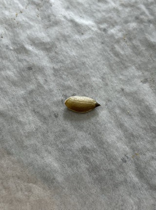 Step image