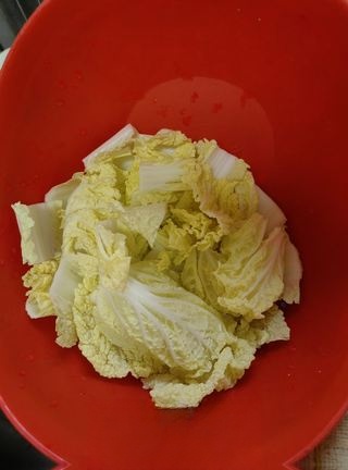 Exclusive Fat Intestine Vegetable Noodles