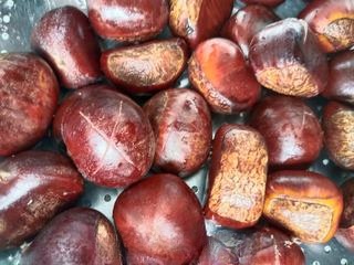Sugar-Free Electric Griddle Roasted Chestnuts