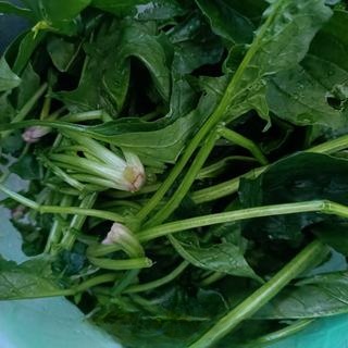 Exclusive Stir-Fried Pork Shreds with Spinach