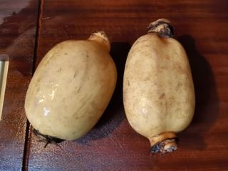 Osmanthus Glutinous Rice Lotus Root First Release