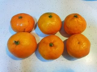 Roasted Oranges First Release