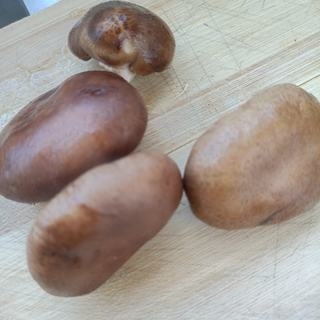 Exclusive Fat-Reducing Salad