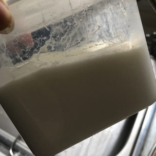 Blueberry Mixed with Yogurt Exclusive