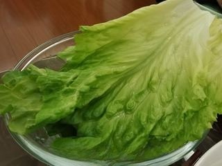 Northeastern Big Vegetable Bun First Release