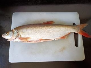 Steamed White Pomfret
