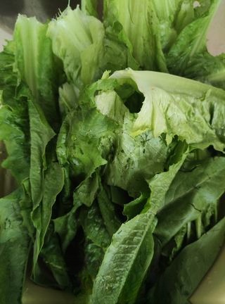 Exclusive Cold Dressed Romaine Lettuce