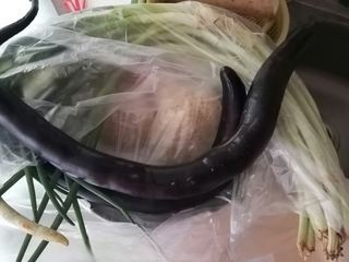 Stir-fried White Beans and Eggplant