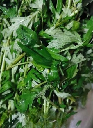 Mugwort Egg Exclusive