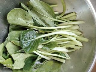 凉拌油白菜