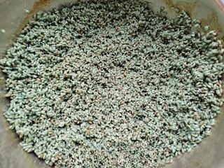 Umi Sweet Fermented Rice Wine