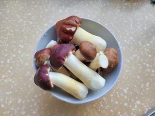 Stir-Fried Red Matsutake