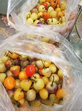 Soak the colorful peppers