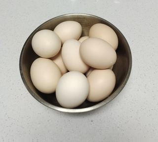 Creative Art Egg