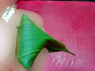 Step image