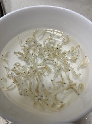 Stir-fried Eggs with Whitebait