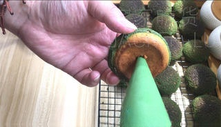 Step image