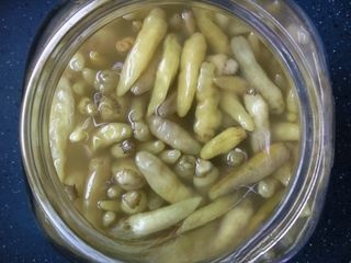 Pickled Pepper Black Fungus