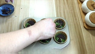Step image