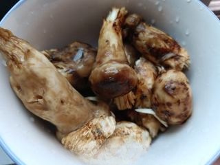 Stir-fried matsutake mushrooms