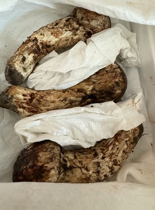 Exclusive Butter-Fried Matsutake
