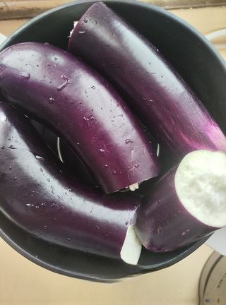 Sesame Sauce Hand-Torn Eggplant Exclusive