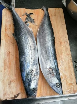 Homemade Smoked Mackerel First Release