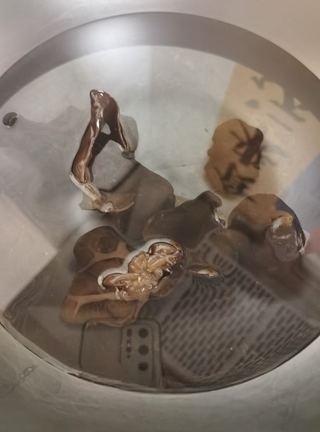 Step image
