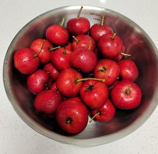 Homemade Hawthorn Canned Fruit